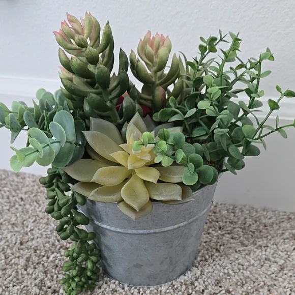 Succulent Arrangement in Gray Metal Pot - Picture 3 of 9